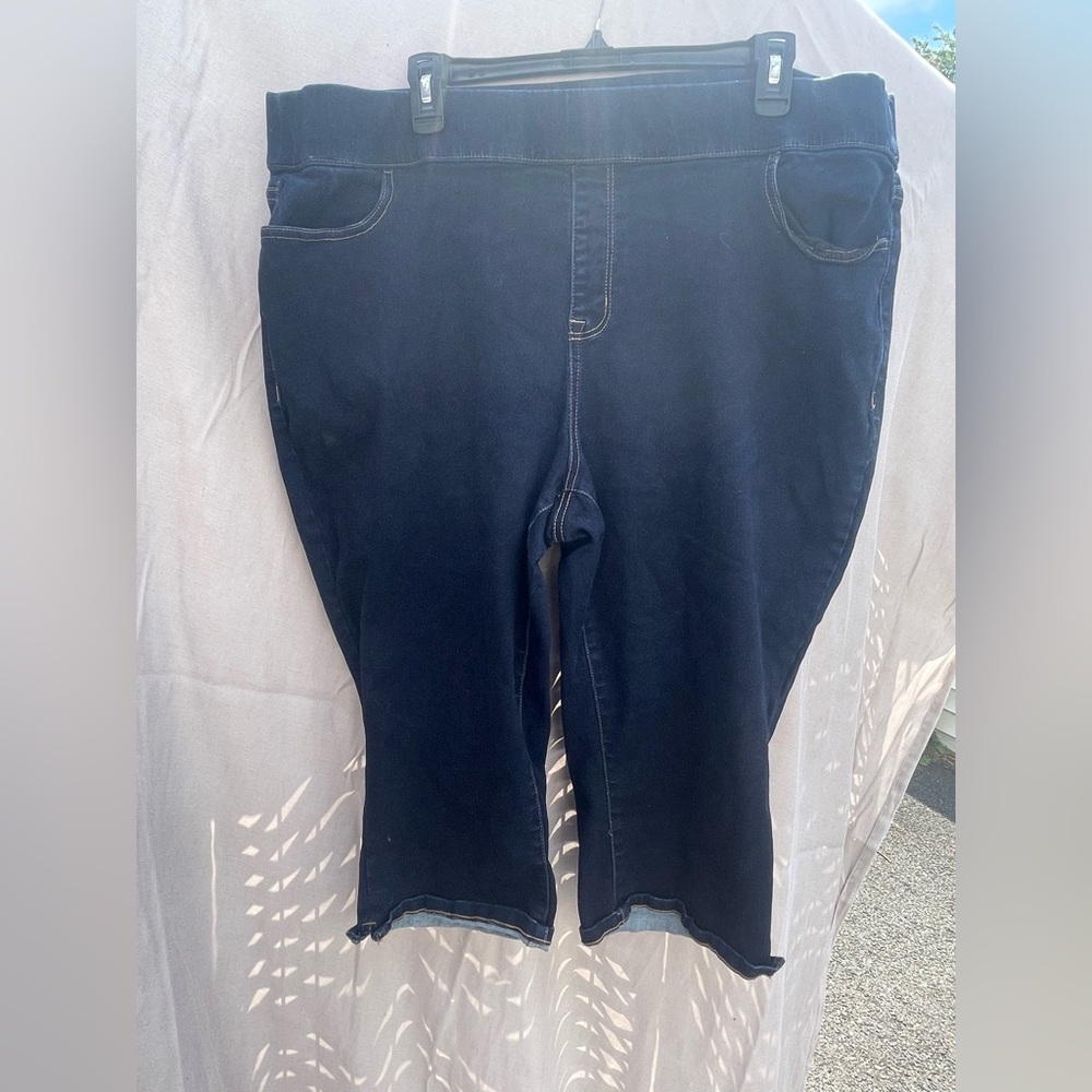 Lane Bryant Light Blue Denim Jeans Capri